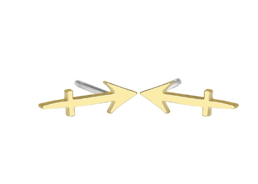 women's lovely earrings elegant star zodiac sign Fish Charm stainless steel large jewelry simple Earring Gift