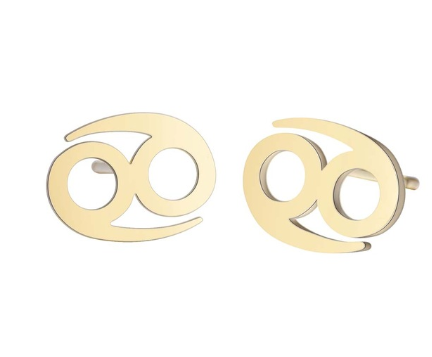 women's lovely earrings elegant star zodiac sign Fish Charm stainless steel large jewelry simple Earring Gift