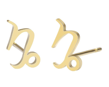 women's lovely earrings elegant star zodiac sign Fish Charm stainless steel large jewelry simple Earring Gift