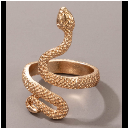 Long Trend Snake Pattern Metal Animal Retro Exaggerated Snake-shaped Ring For Men And Women