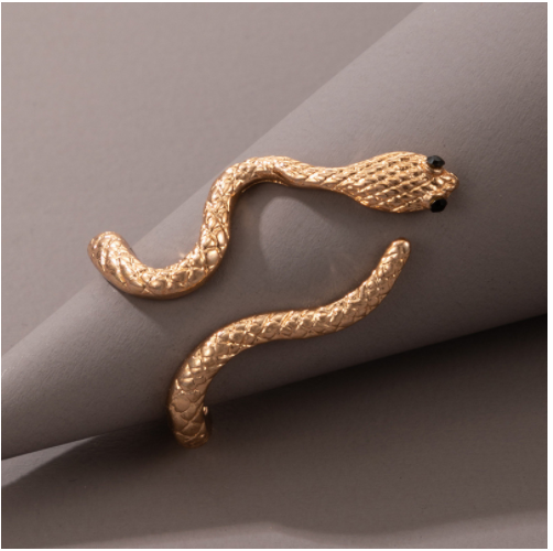 Long Trend Snake Pattern Metal Animal Retro Exaggerated Snake-shaped Ring For Men And Women
