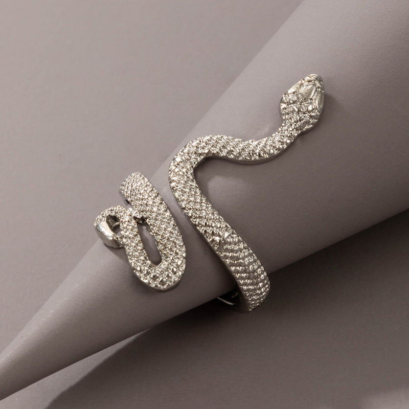 Long Trend Snake Pattern Metal Animal Retro Exaggerated Snake-shaped Ring For Men And Women